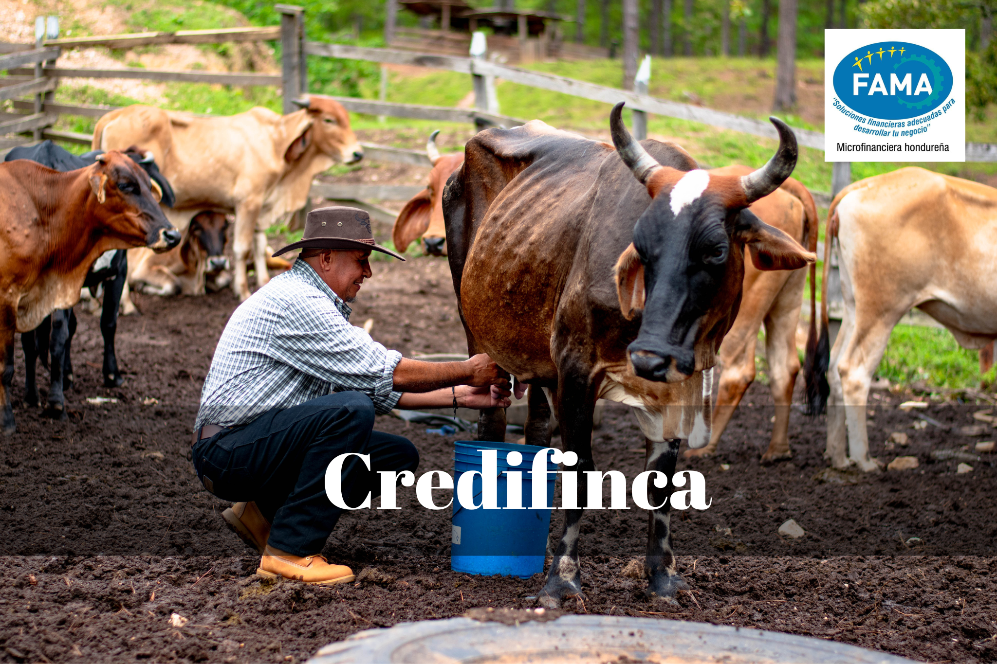 CrediFinca